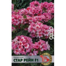 Пеларгония Стар Рейн F1 C3